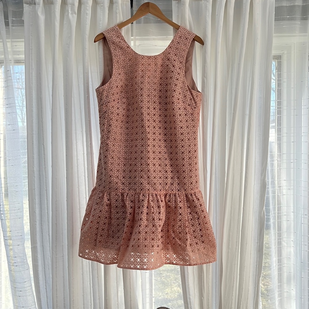 J.Crew Peachy Lace Organza Dress